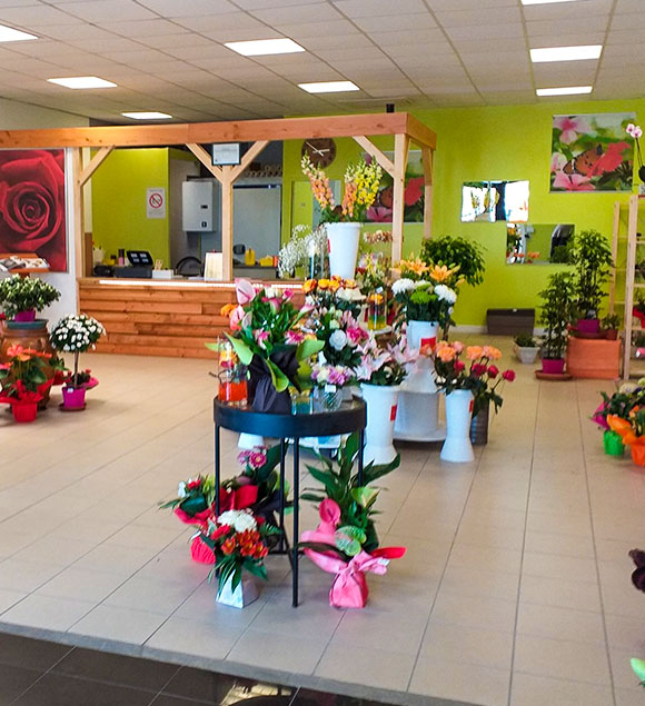 magasin de fleurs Varennes-sur-Allier, magasin de fleurs Vichy, magasin de fleurs Moulins